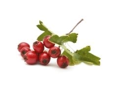 1 lt Alıç Sirkeli + 1 lt Maydanozlu Limon Sarımsak Kürü Cam Şişe